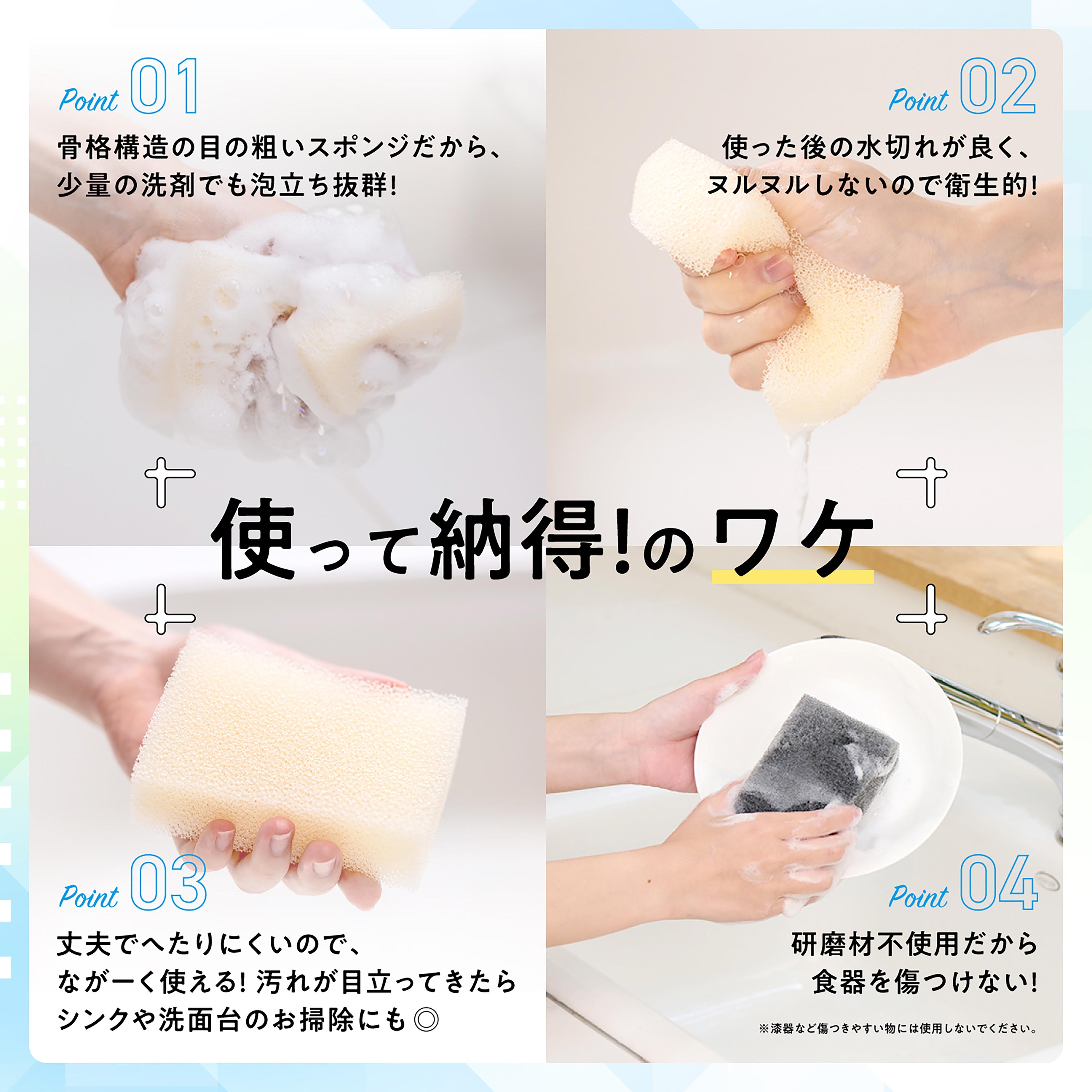 Pax Naturon Kitchen Sponge