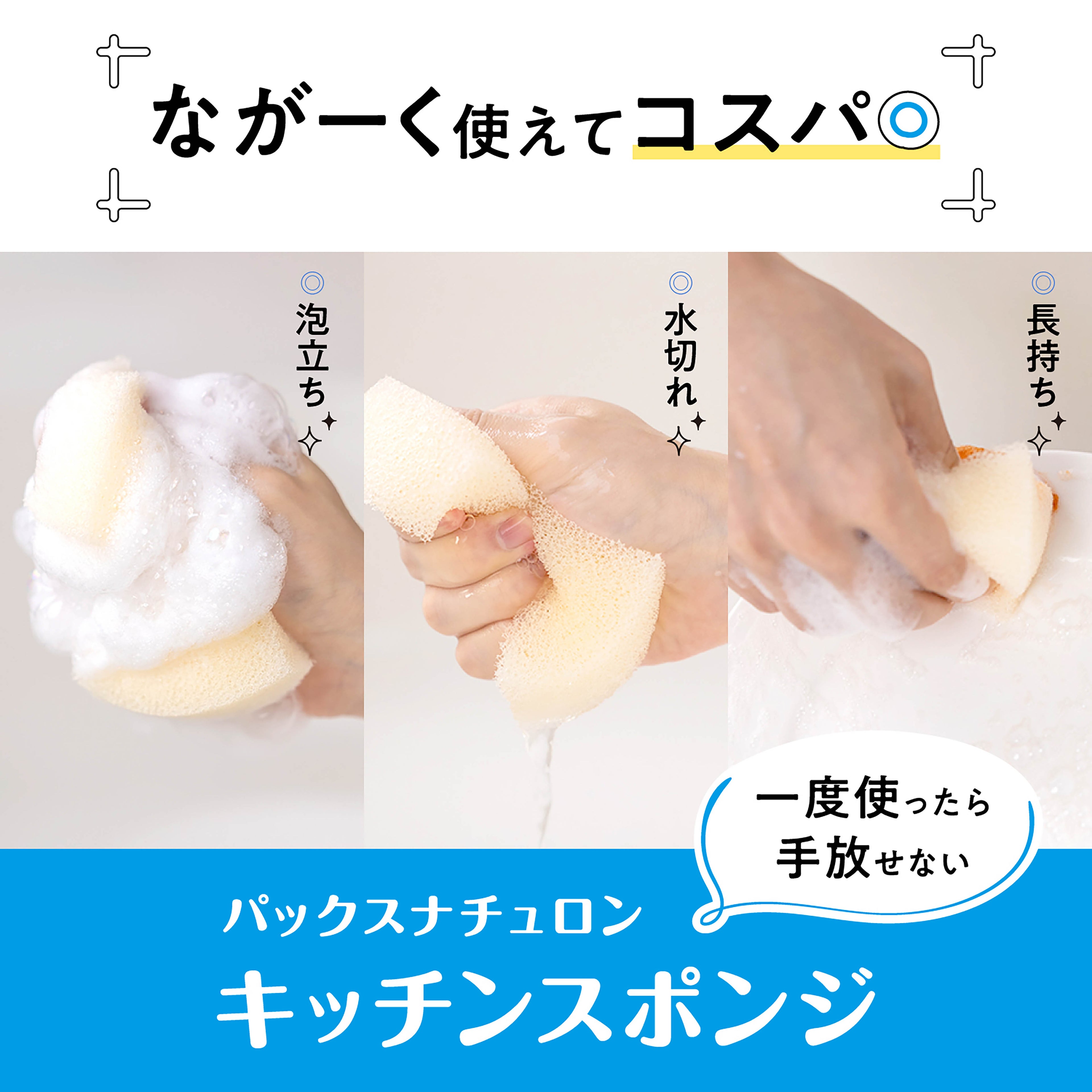 Pax Naturon Kitchen Sponge