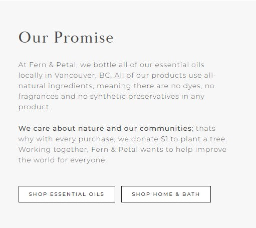 Fern & Petal 100% Pure Essential Oil | Tea Tree (10ml)