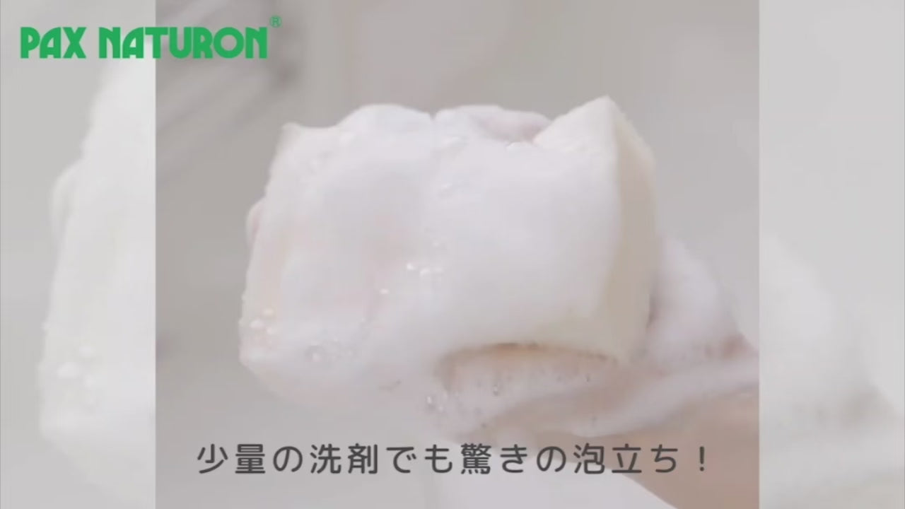 Pax Naturon Kitchen Sponge